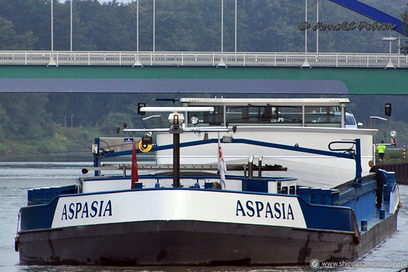 Aspasia