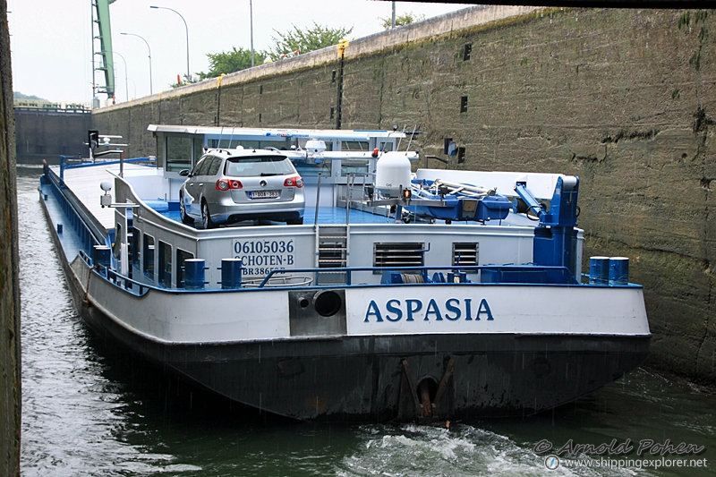 Aspasia