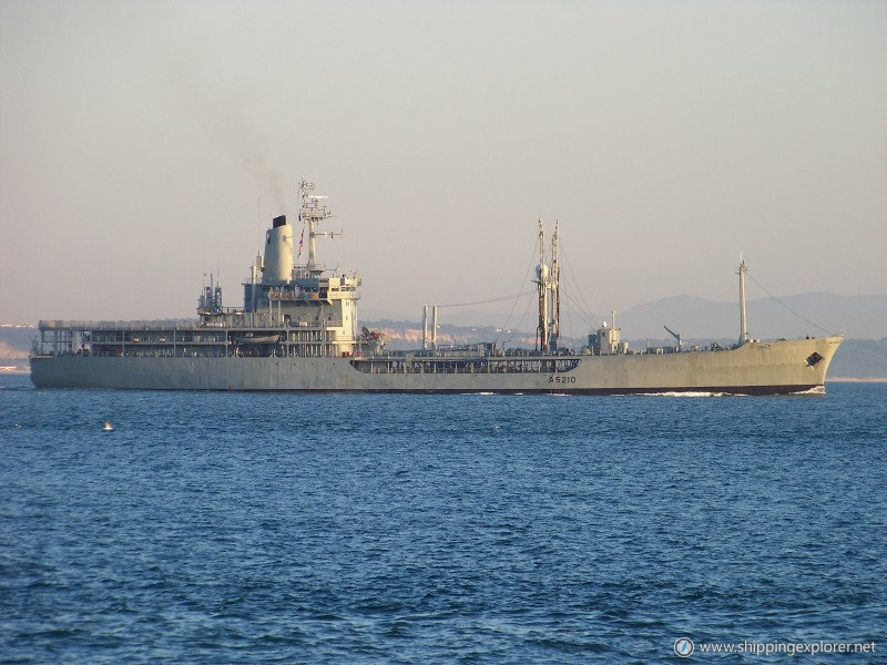 Nrp Berrio