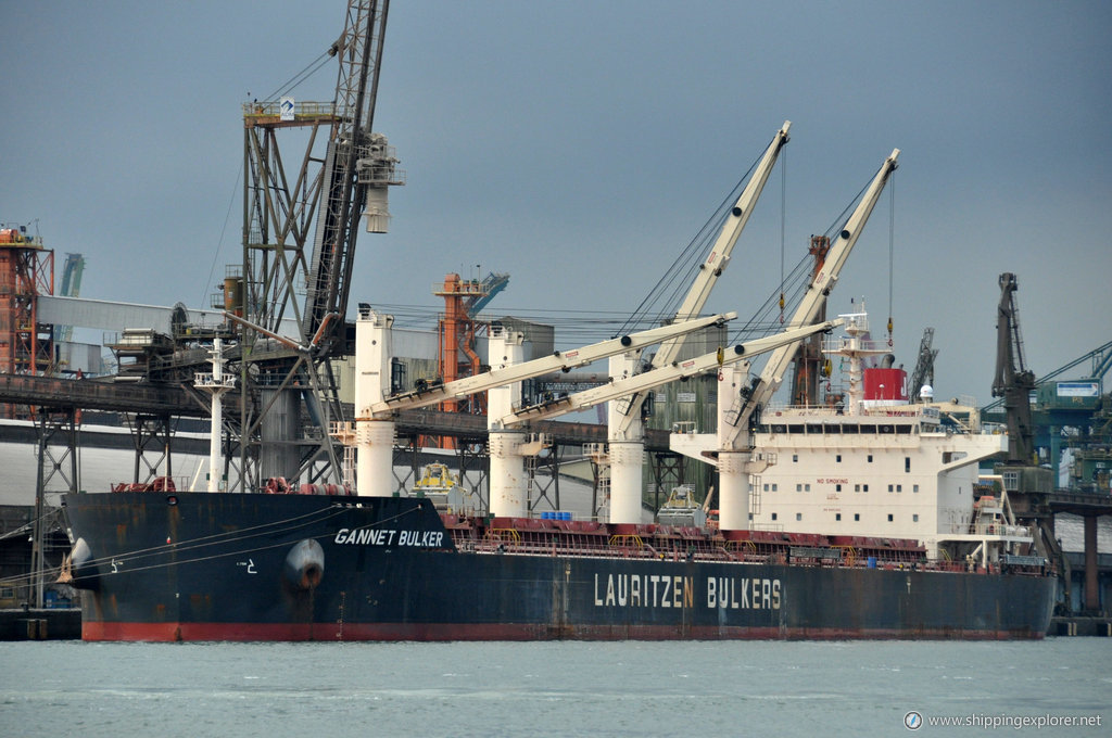 Gannet Bulker