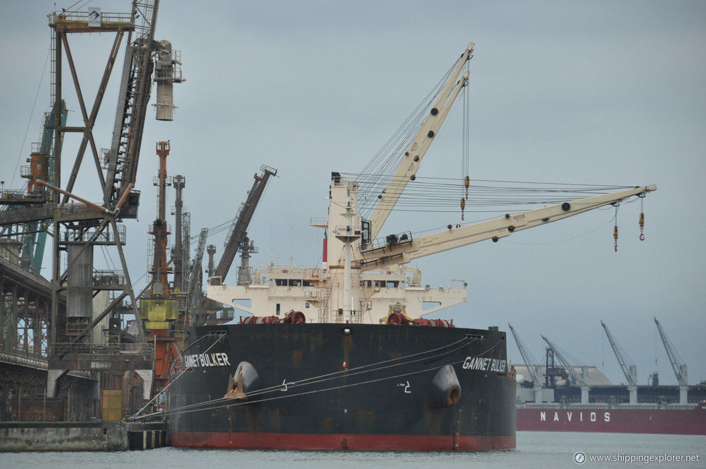 Gannet Bulker