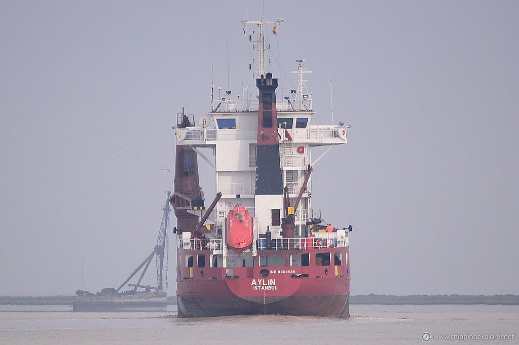 Alexita Spirit