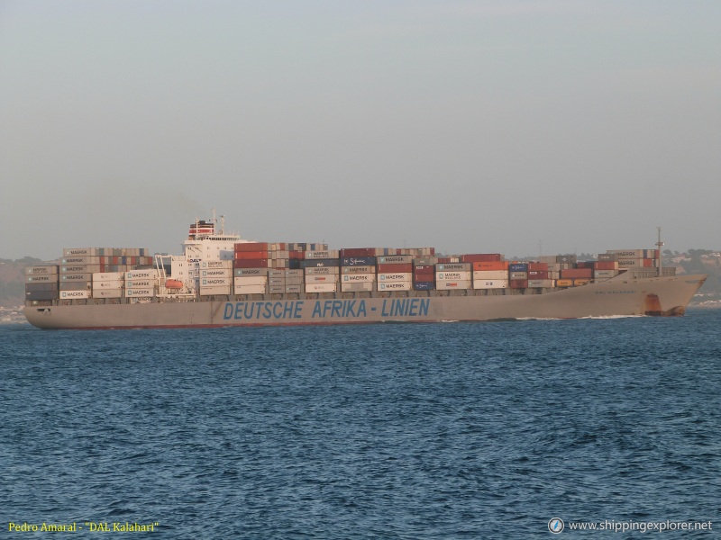 MSC Maritina V