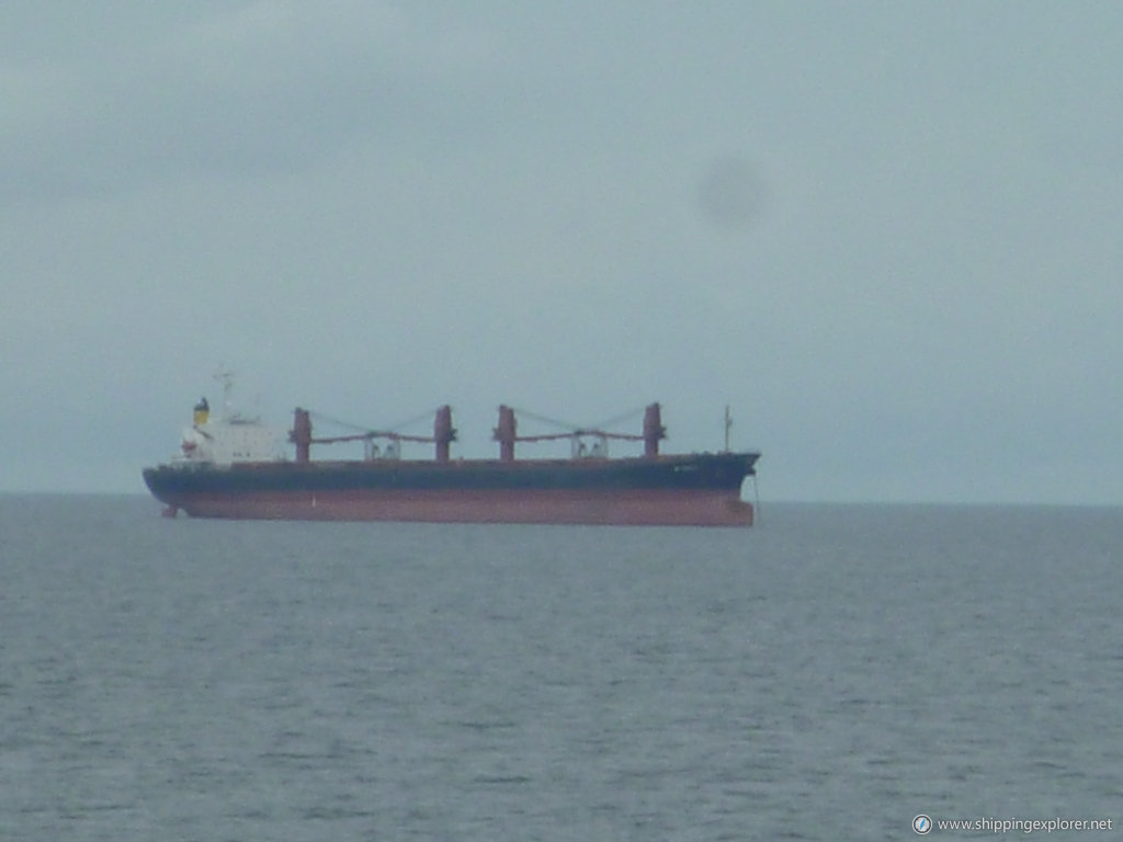 Mp Panamax 6