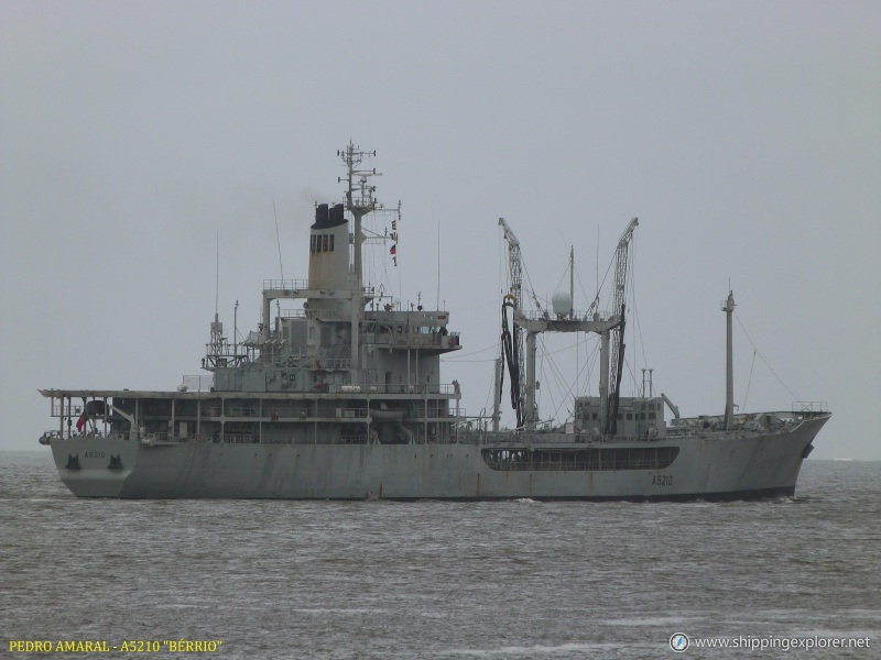 Nrp Berrio