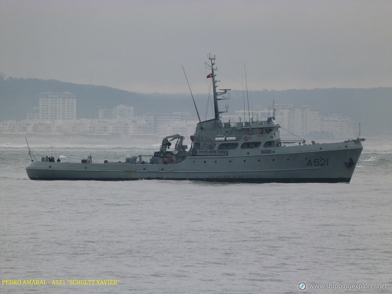 Nrp Schult Xavier