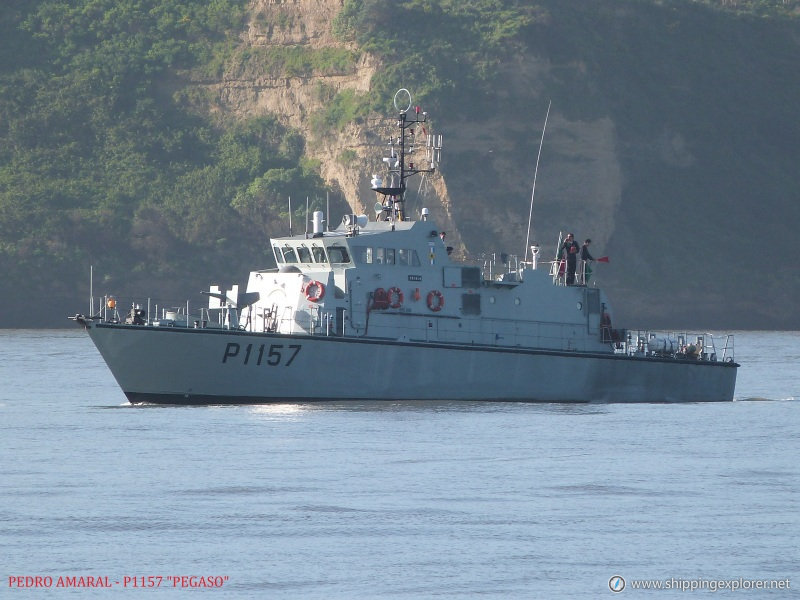 Nrp Pegaso