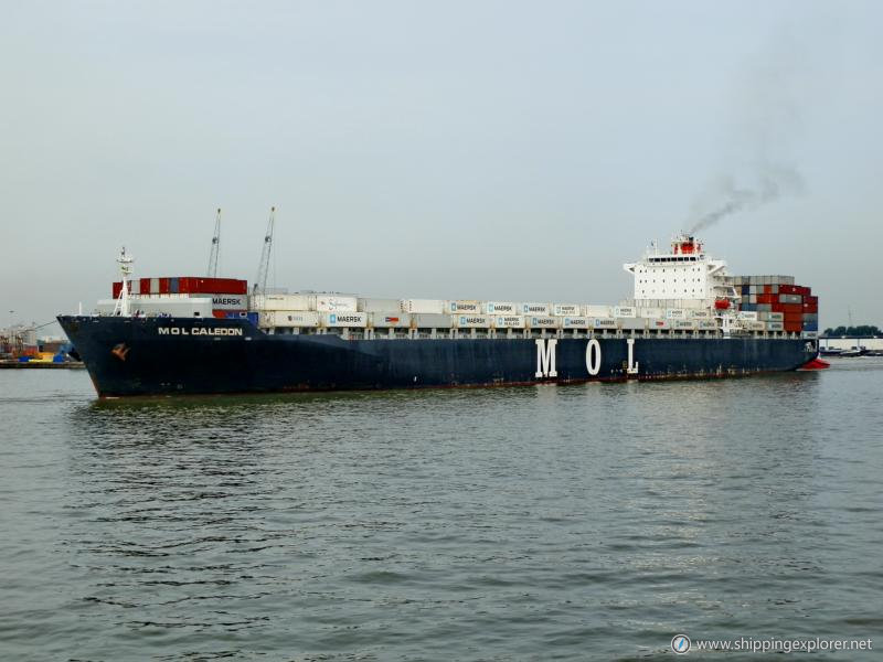 MSC Mirella R