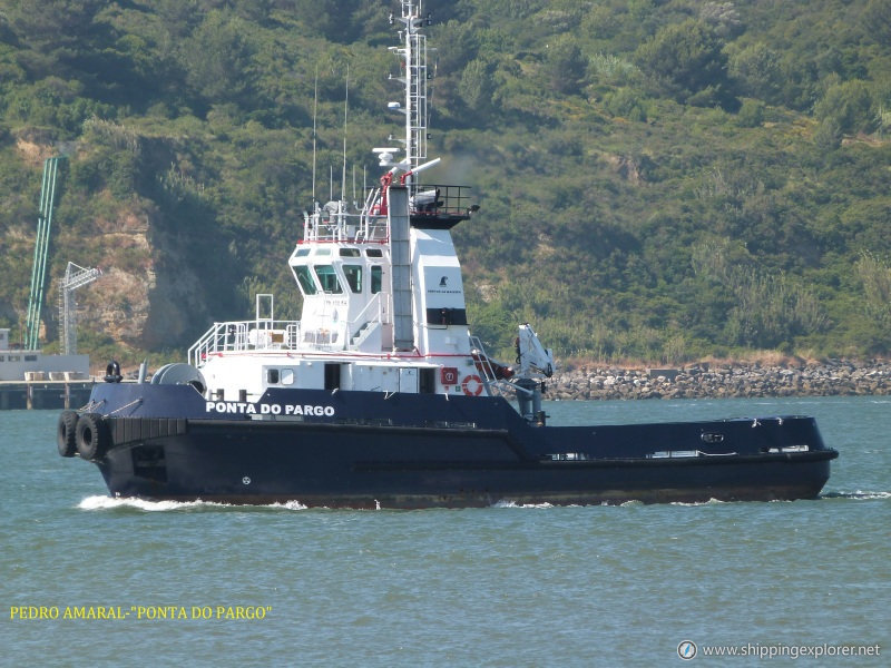 Ponta Do Pargo