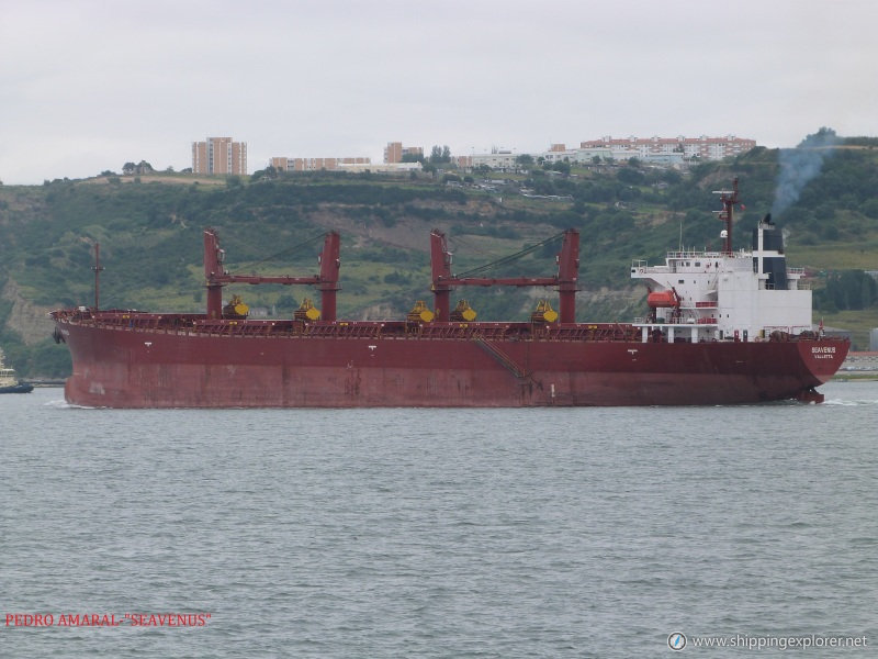 MV Seavenus