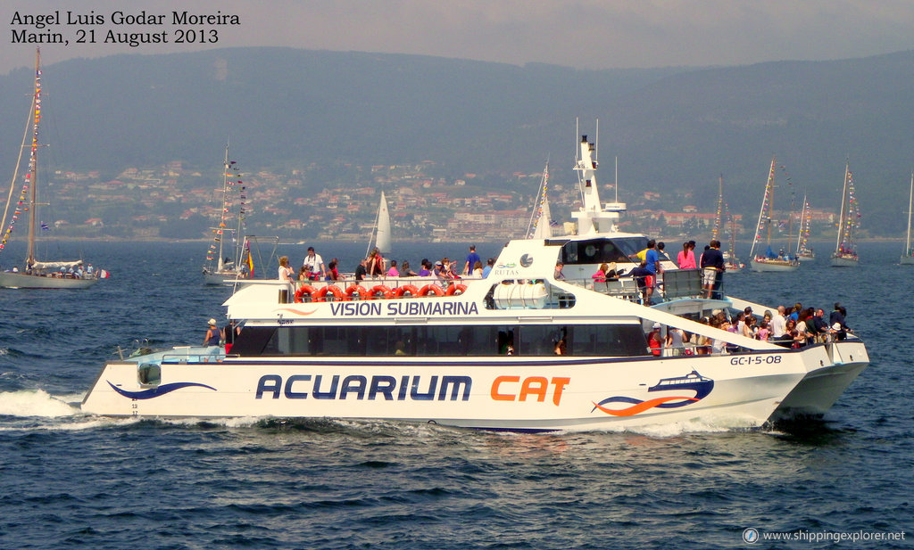 Acuarium Cat