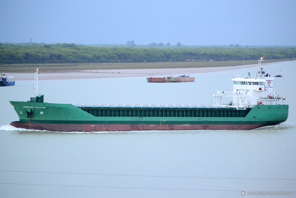 Arklow Falcon