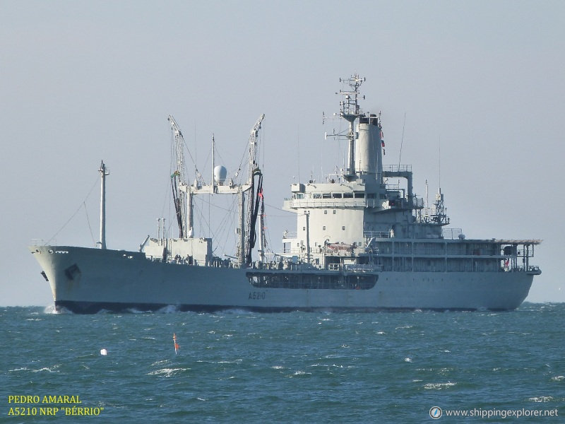 Nrp Berrio