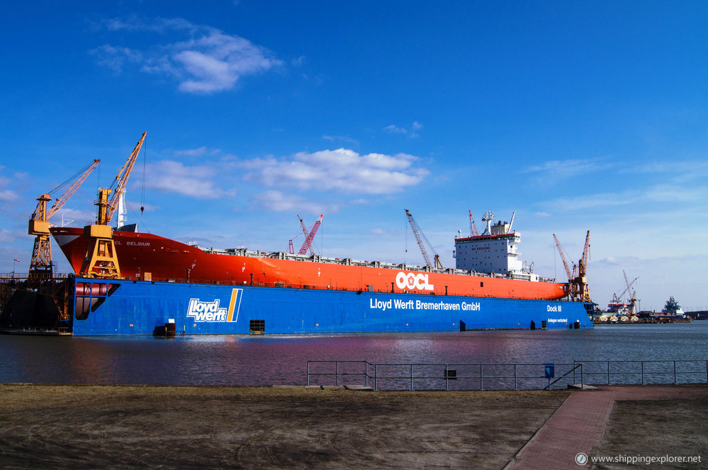 Oocl Belgium