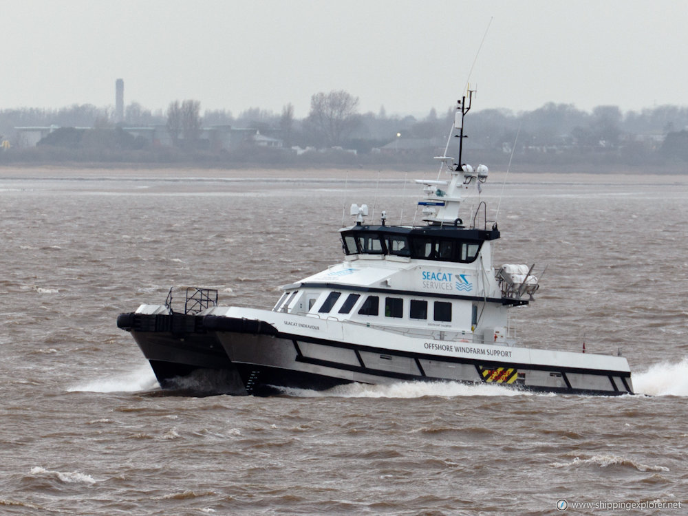 Seacat Endeavour