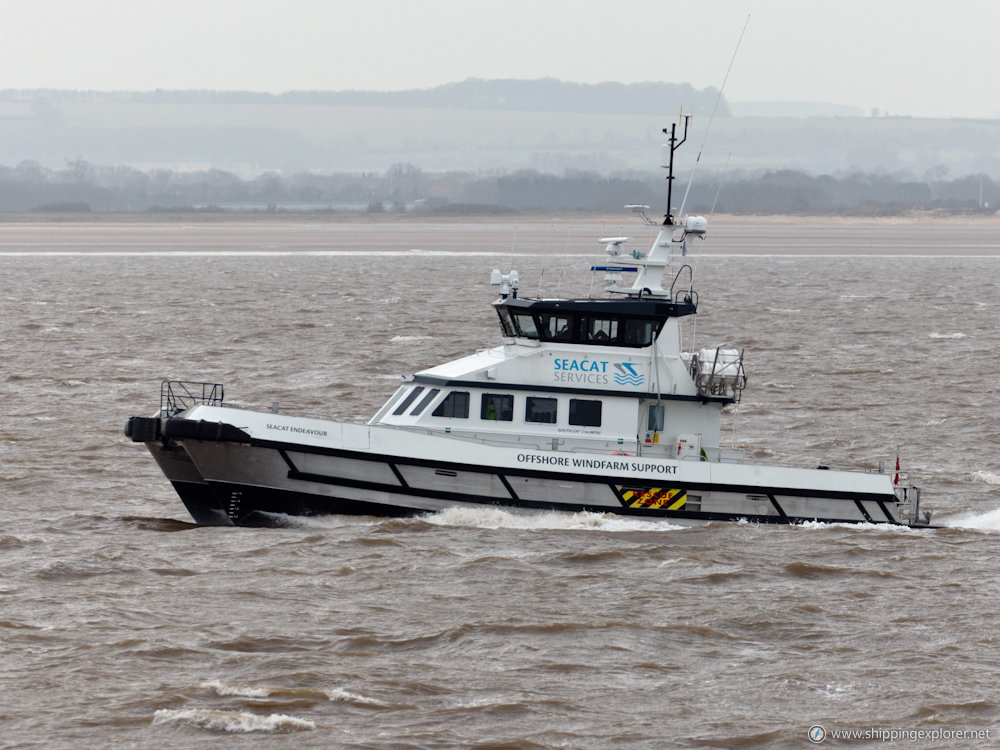 Seacat Endeavour