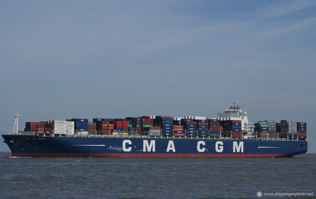 CMA CGM Musca