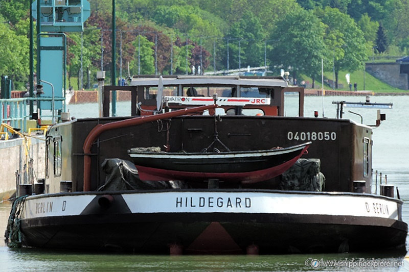 Hildegard