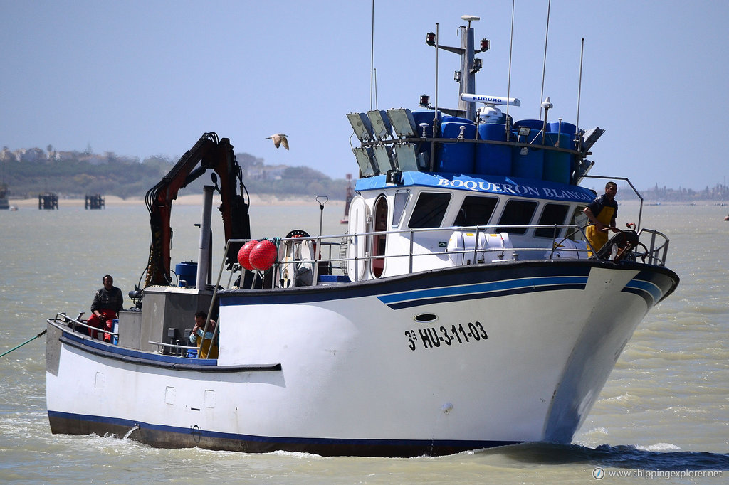 Boqueron Blanco