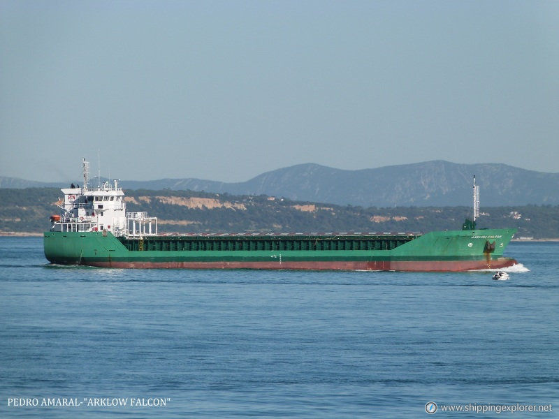 Arklow Falcon