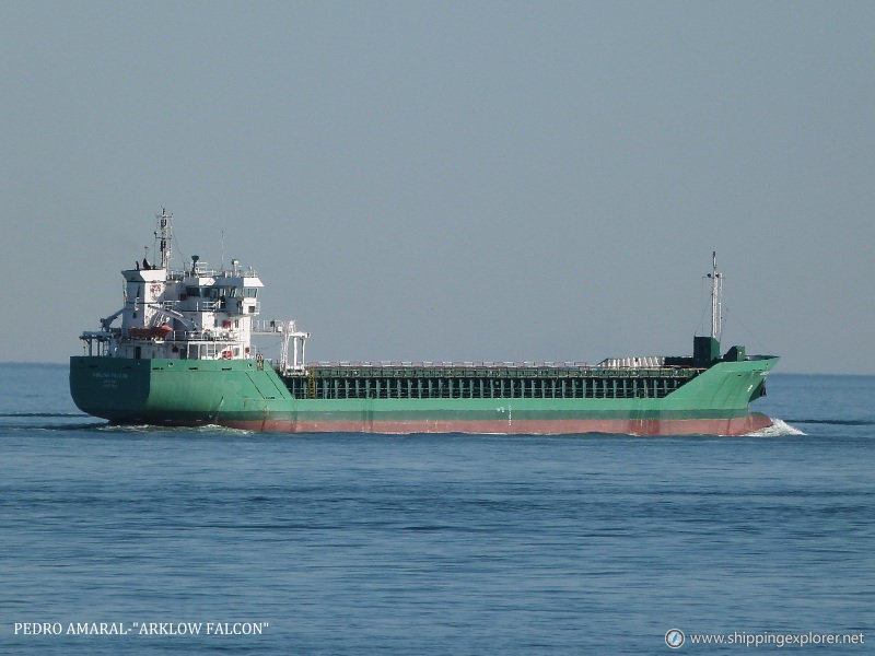 Arklow Falcon