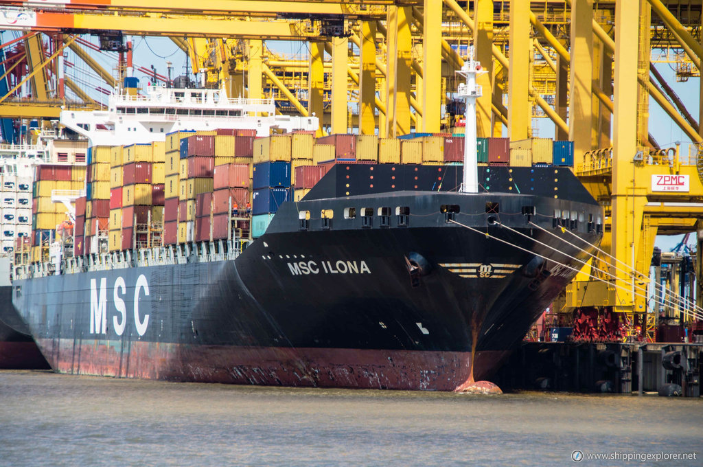 MSC Ilona