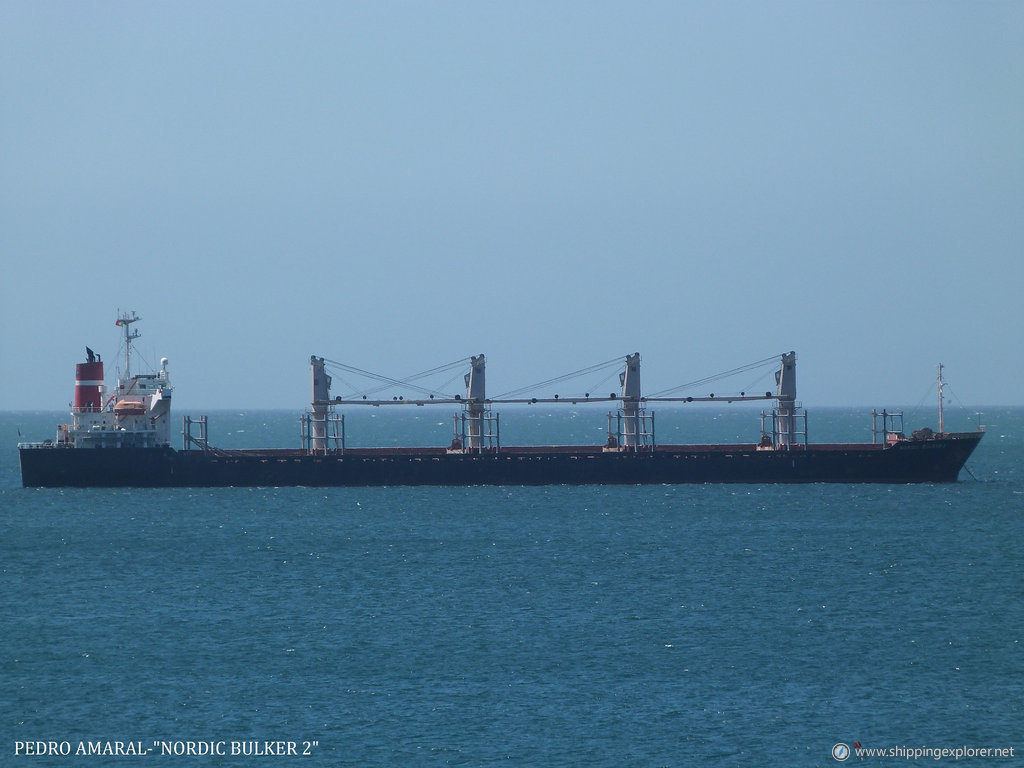 Nordic Bulker 2