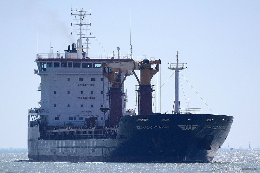 Bulker Bee 10