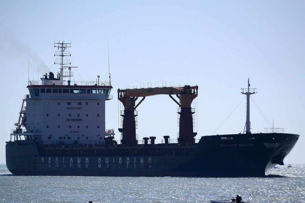 Bulker Bee 10