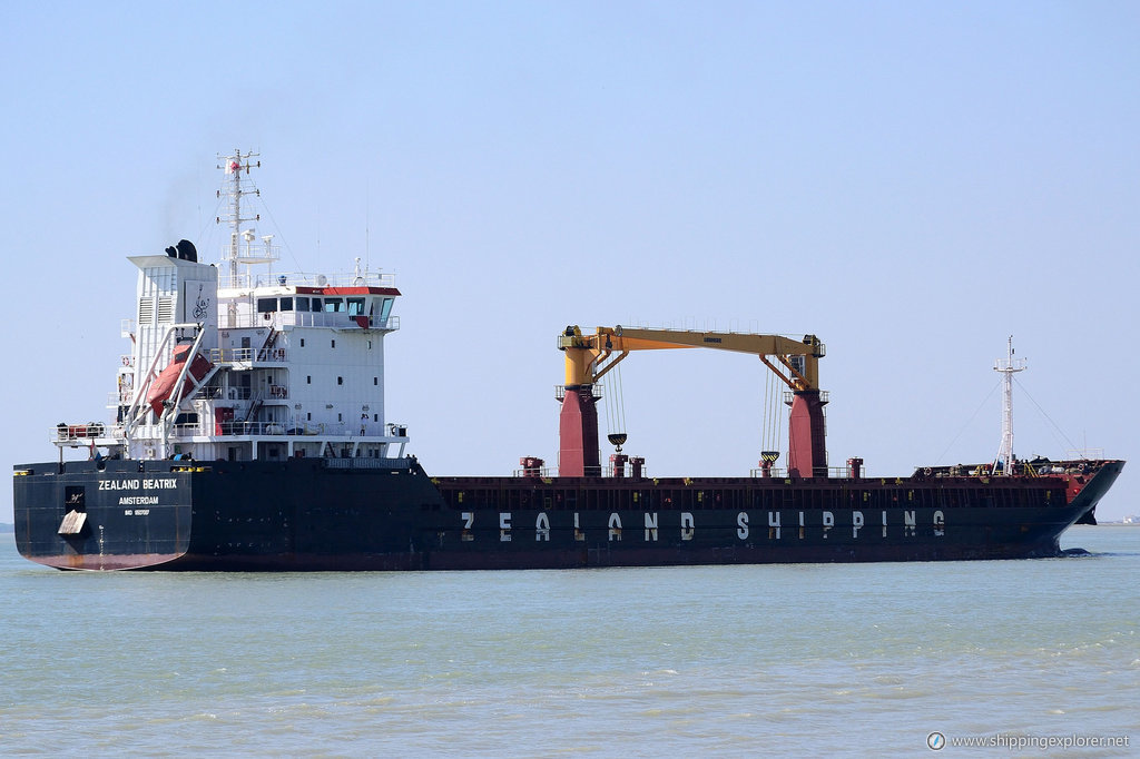 Bulker Bee 10