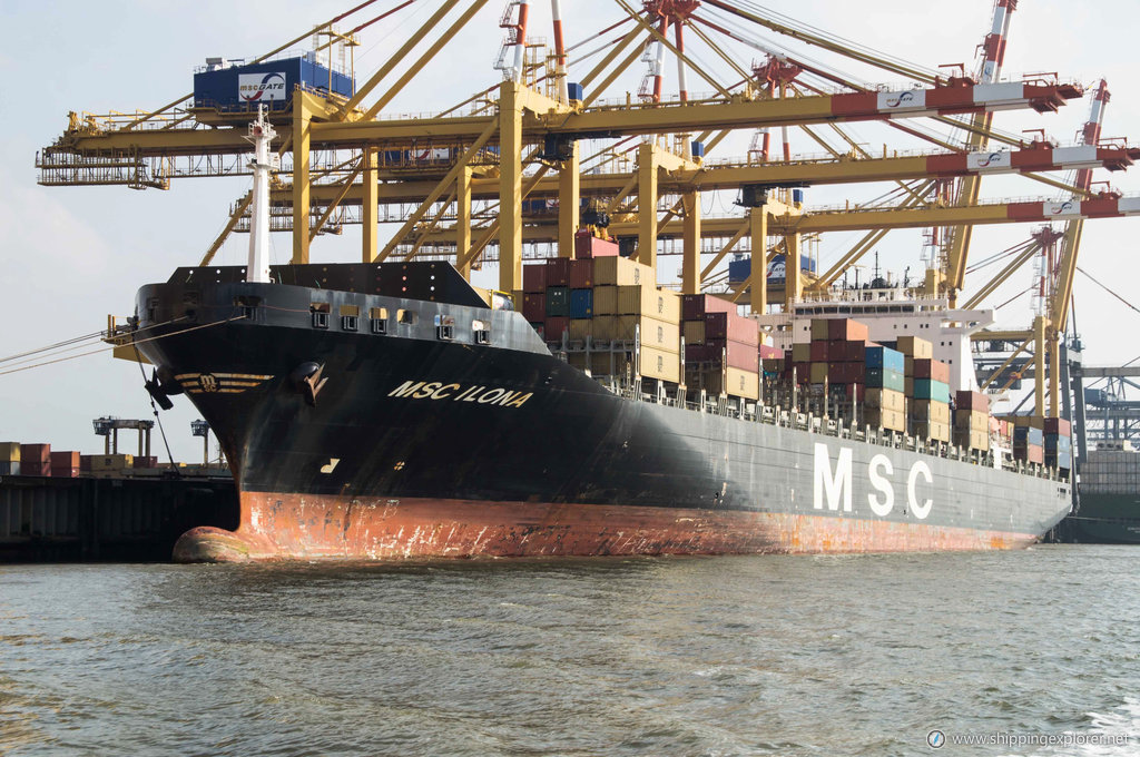 MSC Ilona