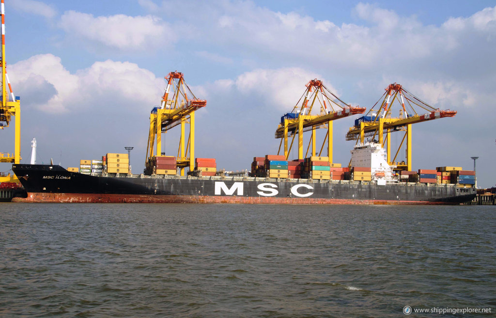 MSC Ilona