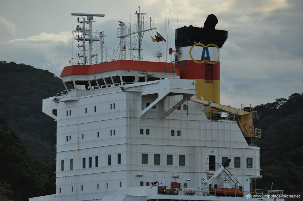 MSC Jenny II