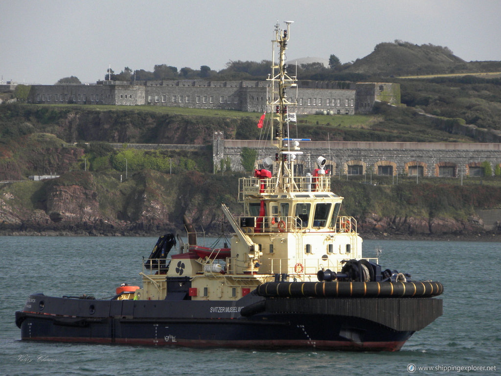 Svitzer Musselwick