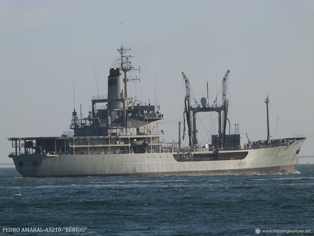 Nrp Berrio