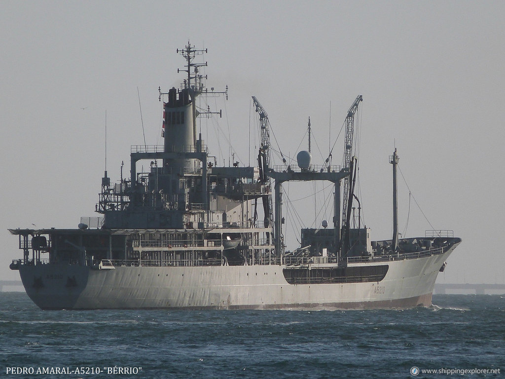 Nrp Berrio