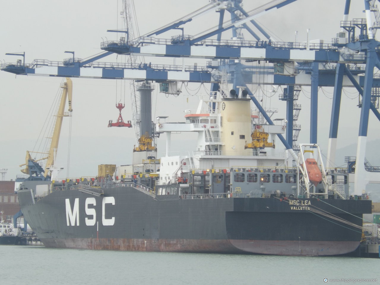 MSC Lea II