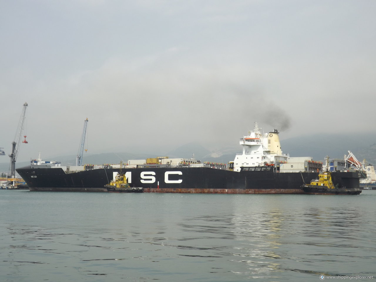 MSC Lea II