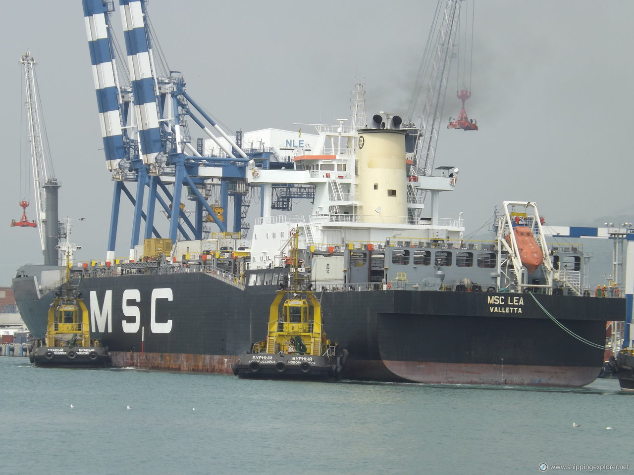 MSC Lea II