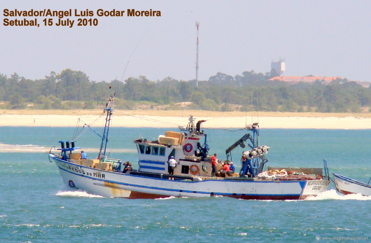 Segredos Do Mar