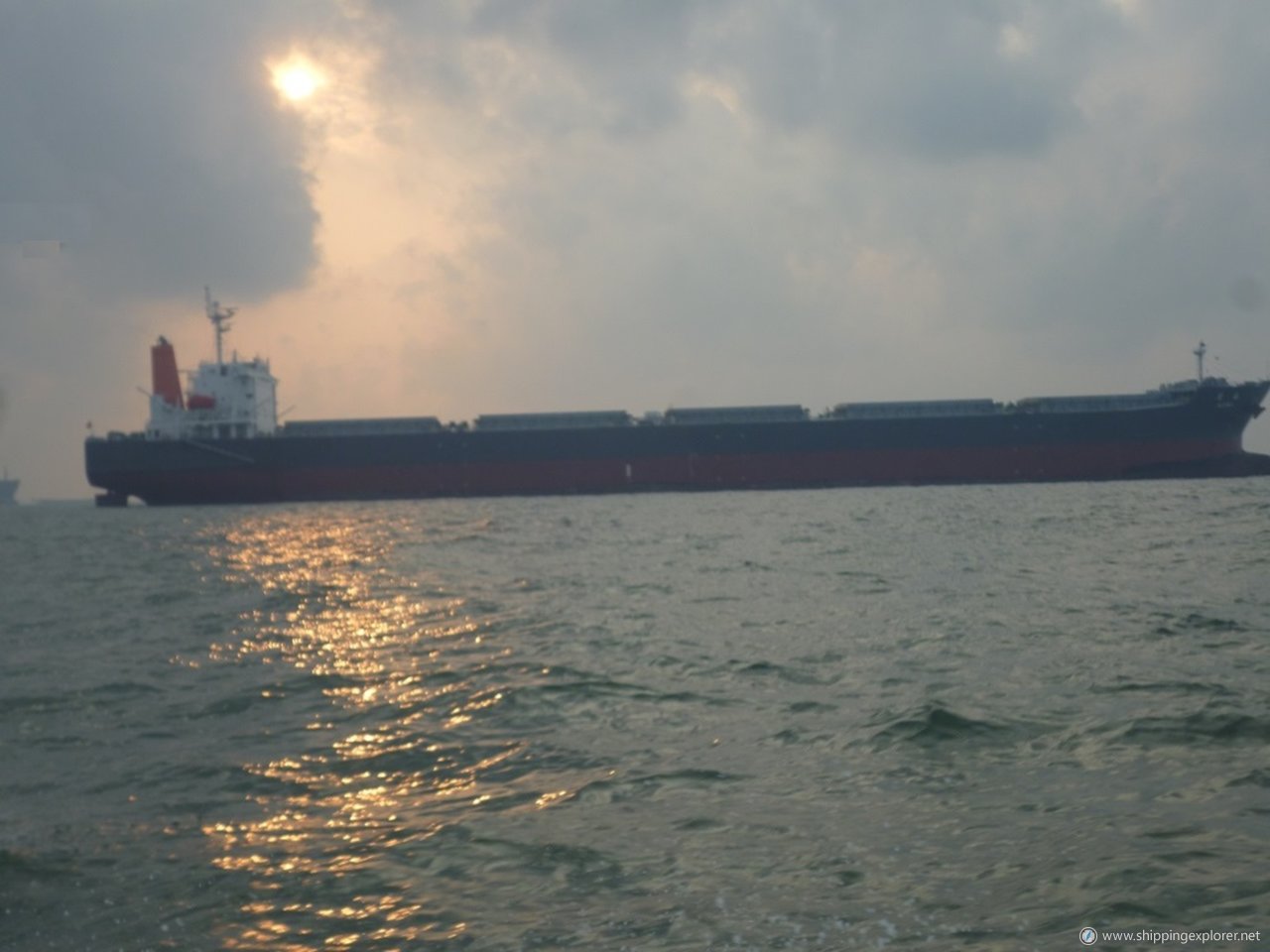 M/V Aomi