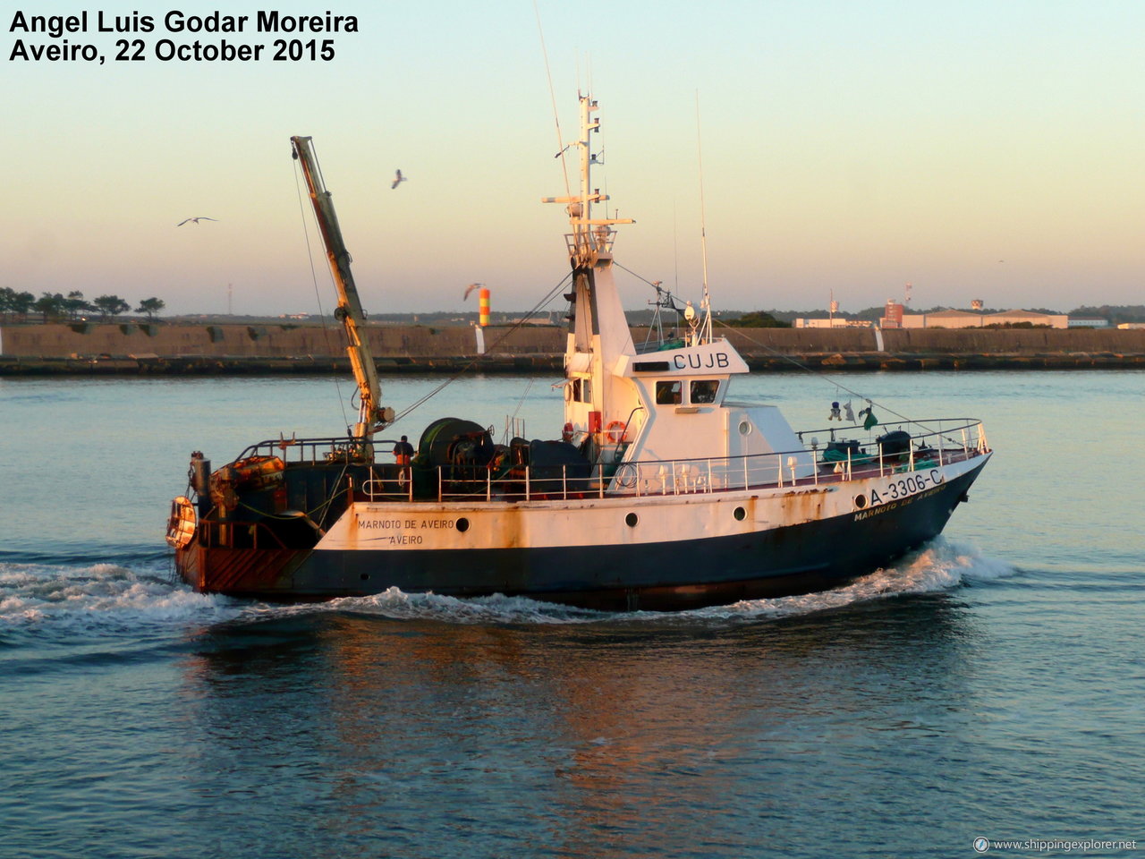 Marnoto De Aveiro