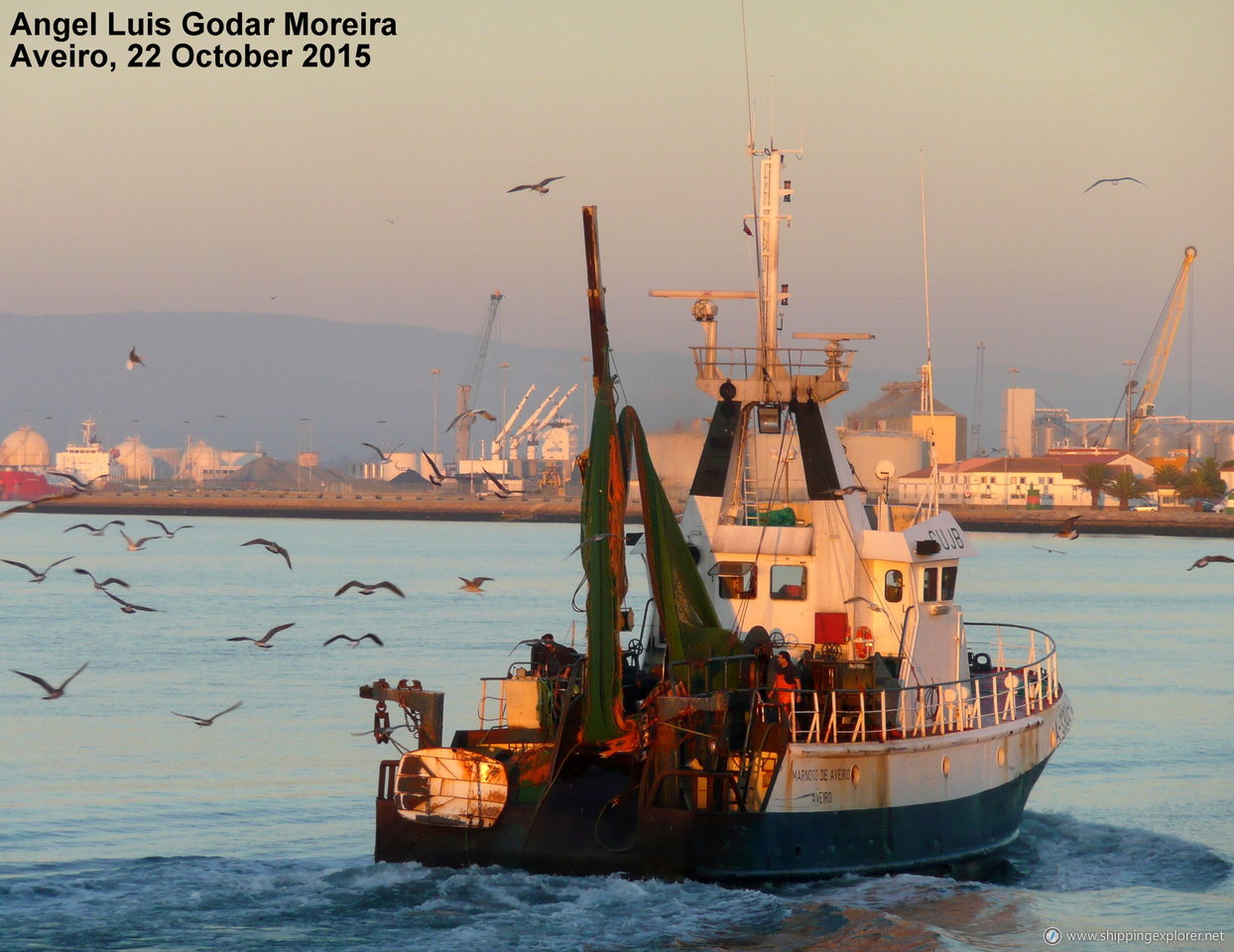 Marnoto De Aveiro