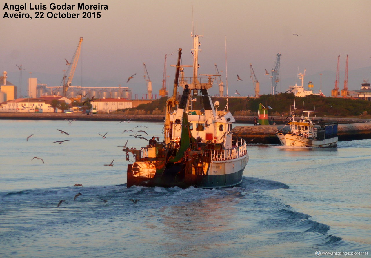 Marnoto De Aveiro