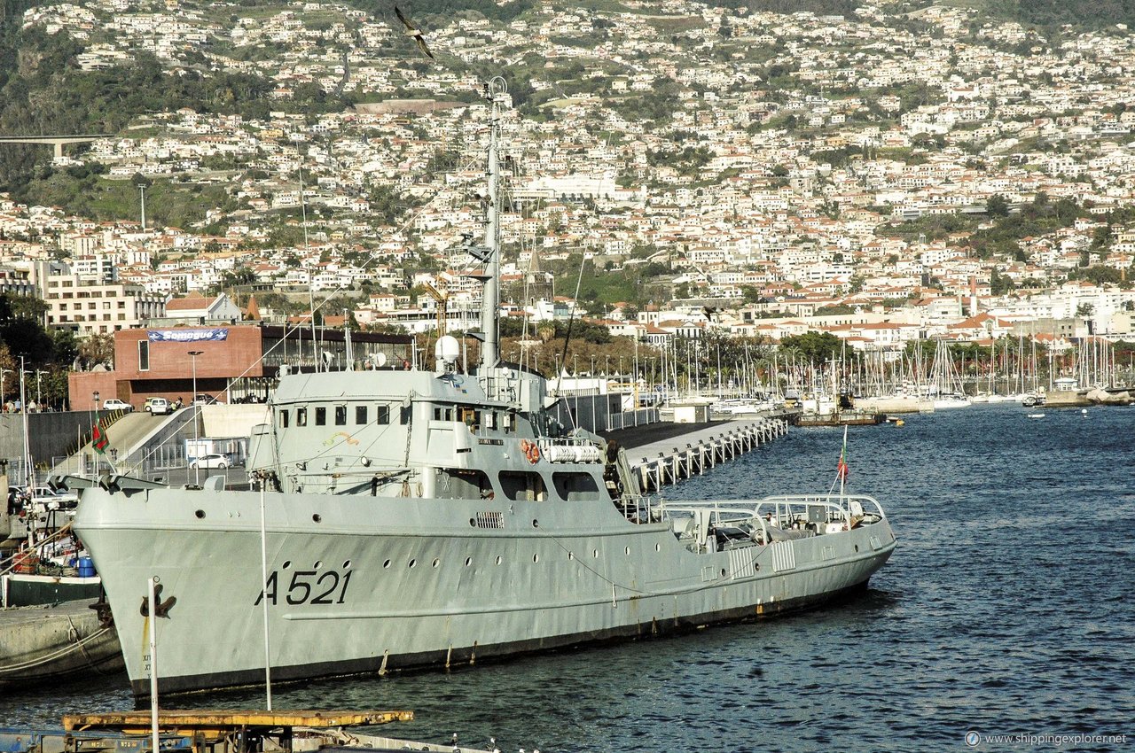 Nrp Schult Xavier