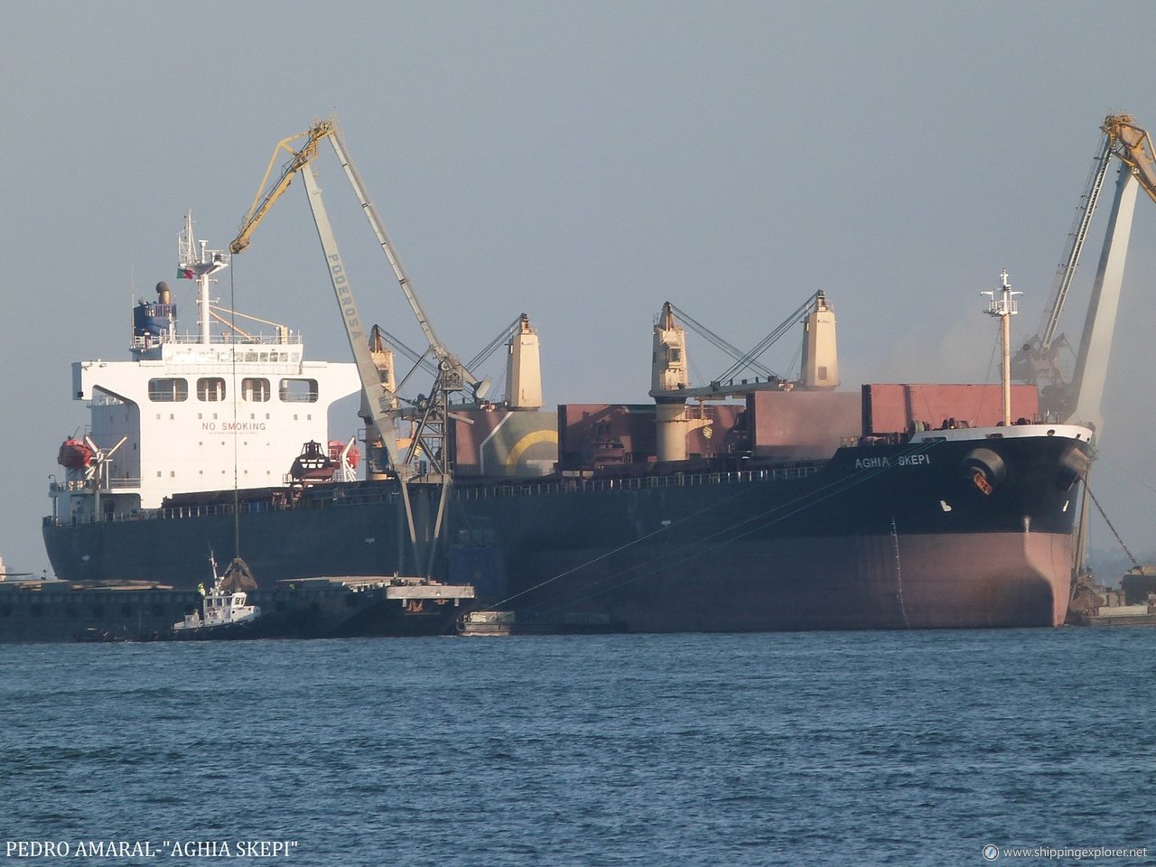 M/V Aghia Skepi