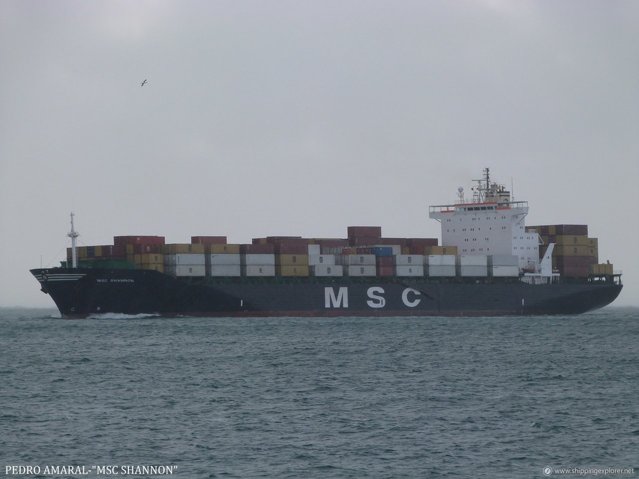 MSC Shannon III