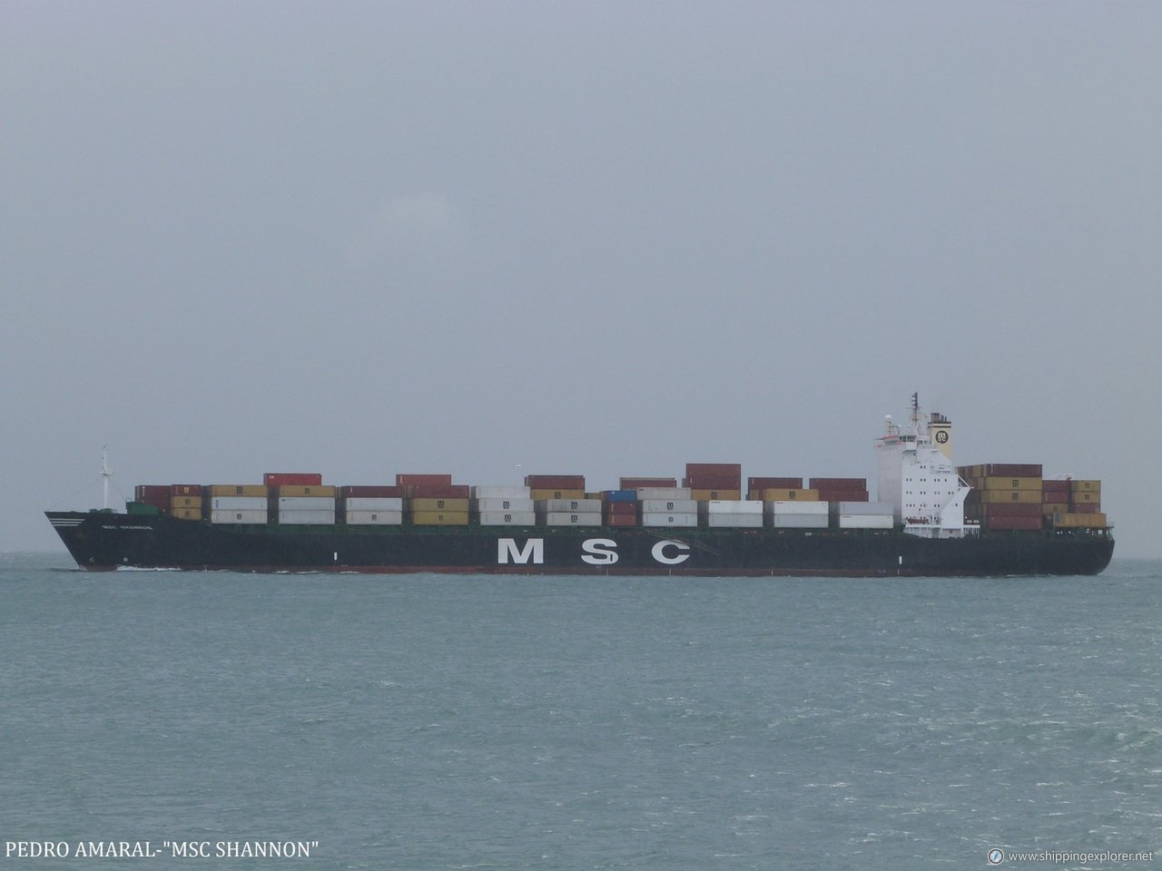 MSC Shannon III