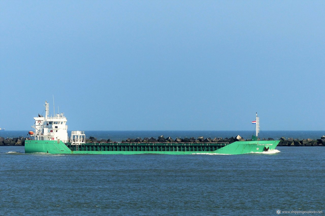 Arklow Fortune