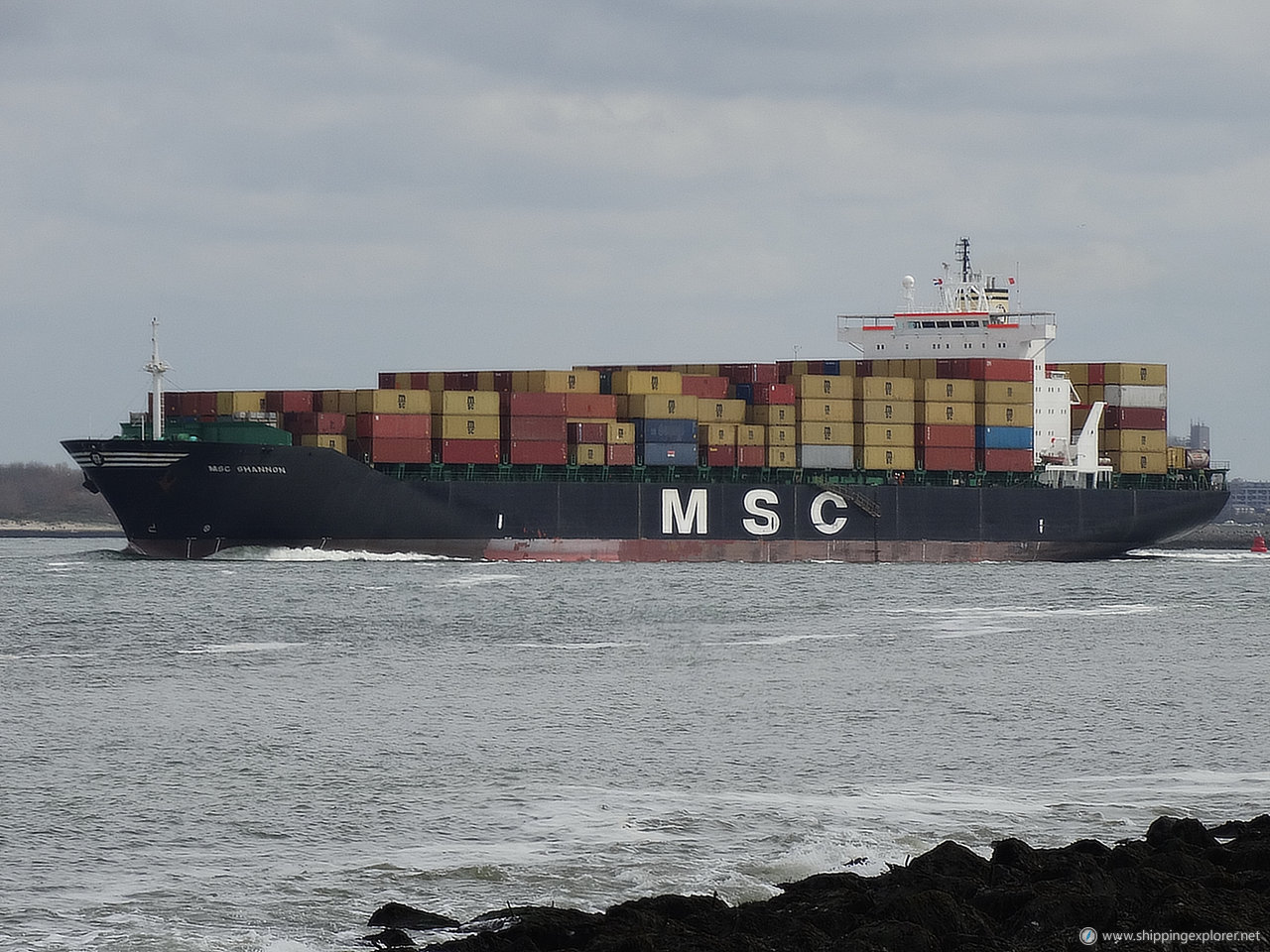 MSC Shannon III